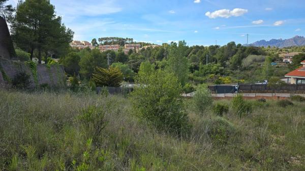 Terreno en calle Nou Fonts photo 3