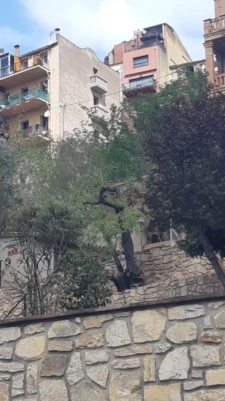 Działka na sprzedaż w Corbera de Llobregat, Barcelona photo 1