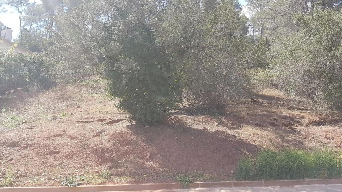 Land for sale in Corbera de Llobregat, Barcelona photo 5