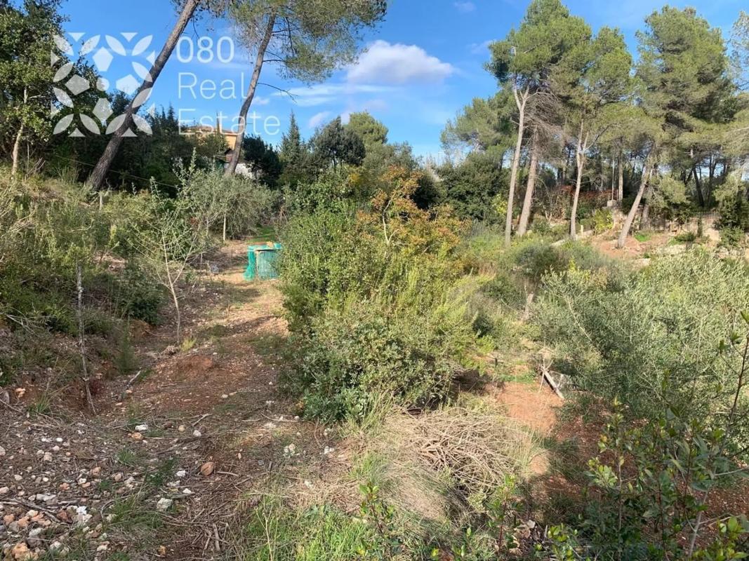Terreno en venta en Cervelló, Barcelona photo 3