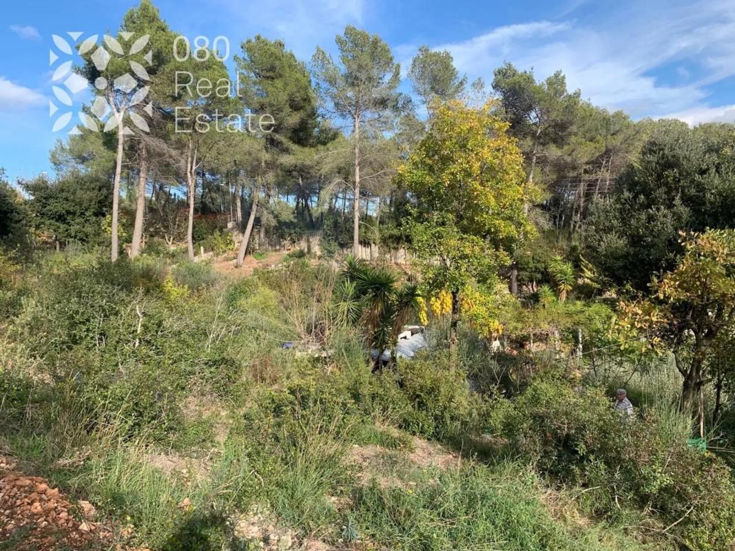 Terreno en venta en Cervelló, Barcelona photo 4