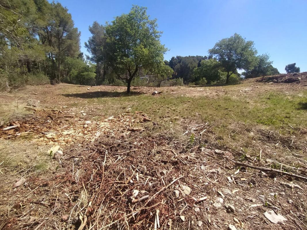 Działka na sprzedaż w Corbera de Llobregat, Barcelona photo 3