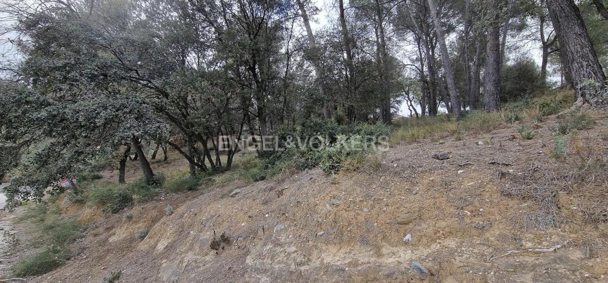 Terreno en venta en Abrera, Barcelona photo 5