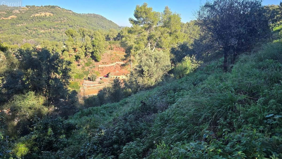 Terreno en venta en Cervelló, Barcelona photo 3