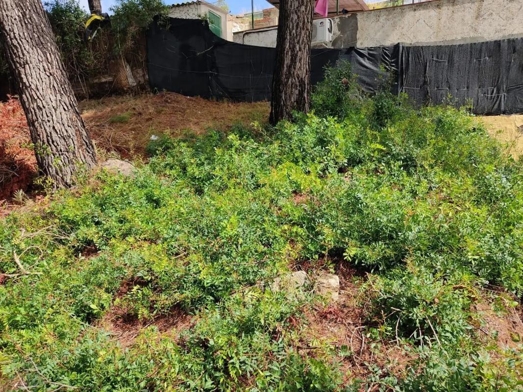 Terreno en venta en Abrera, Barcelona photo 3