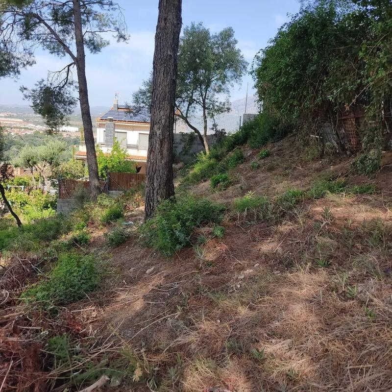 Terreno en venta en Abrera, Barcelona photo 5