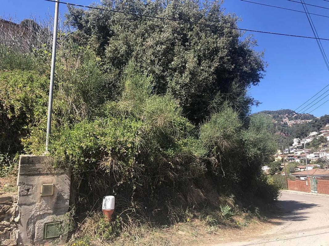 Land for sale in Corbera de Llobregat, Barcelona photo 5