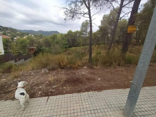 Terreno en Corbera de Llobregat photo 4
