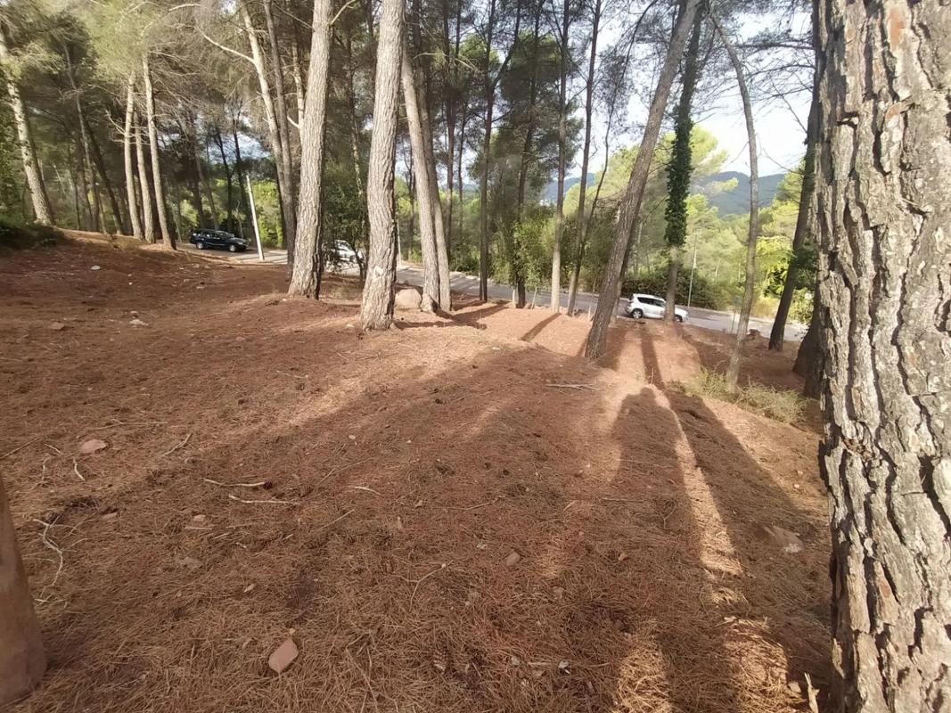 Land for sale in Corbera de Llobregat, Barcelona photo 3