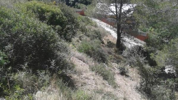 Terreno en Abrera photo 1