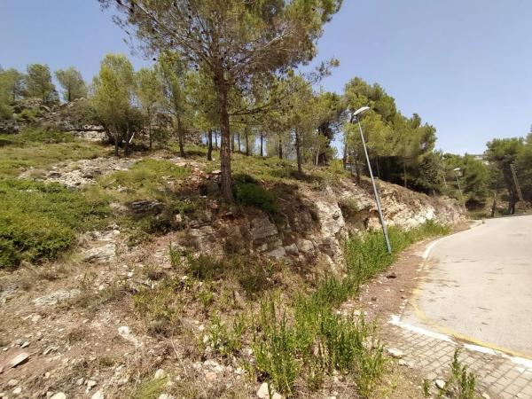 Terreno en Corbera de Llobregat photo 3
