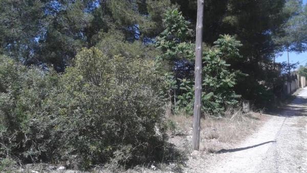 Terreno en Abrera photo 4