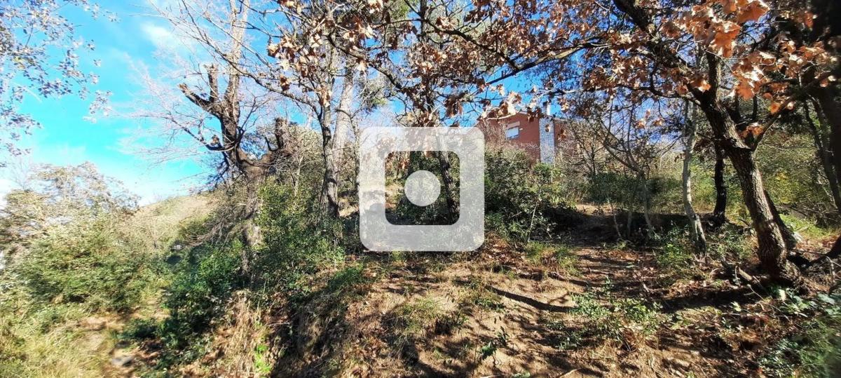 Terreno en venta en Cervelló, Barcelona photo 2