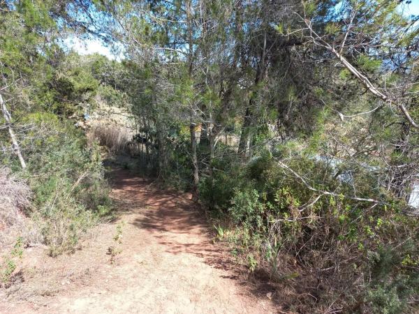 Terreno en calle Miramar photo 2