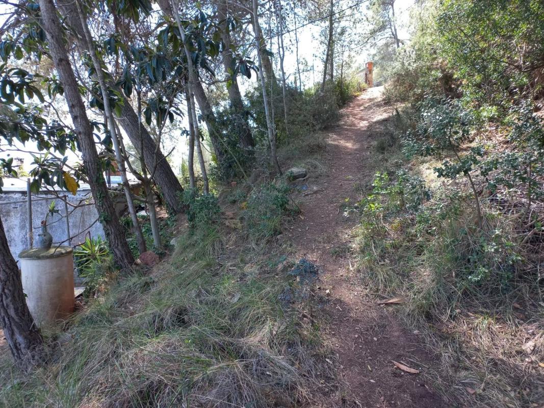 Terreno en venta en Cervelló, Barcelona photo 4
