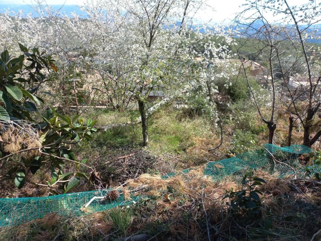 Terreno en venta en Cervelló, Barcelona photo 5