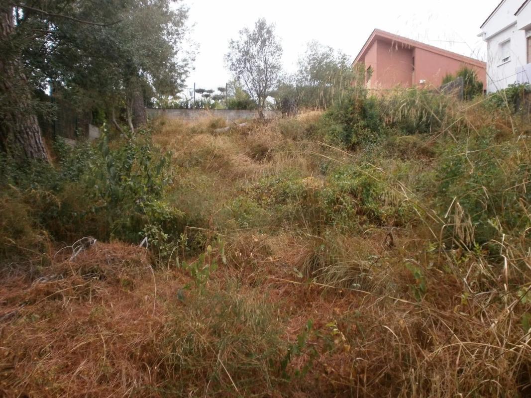 Участок земли на продажу в Сервельо, Барселона photo 5