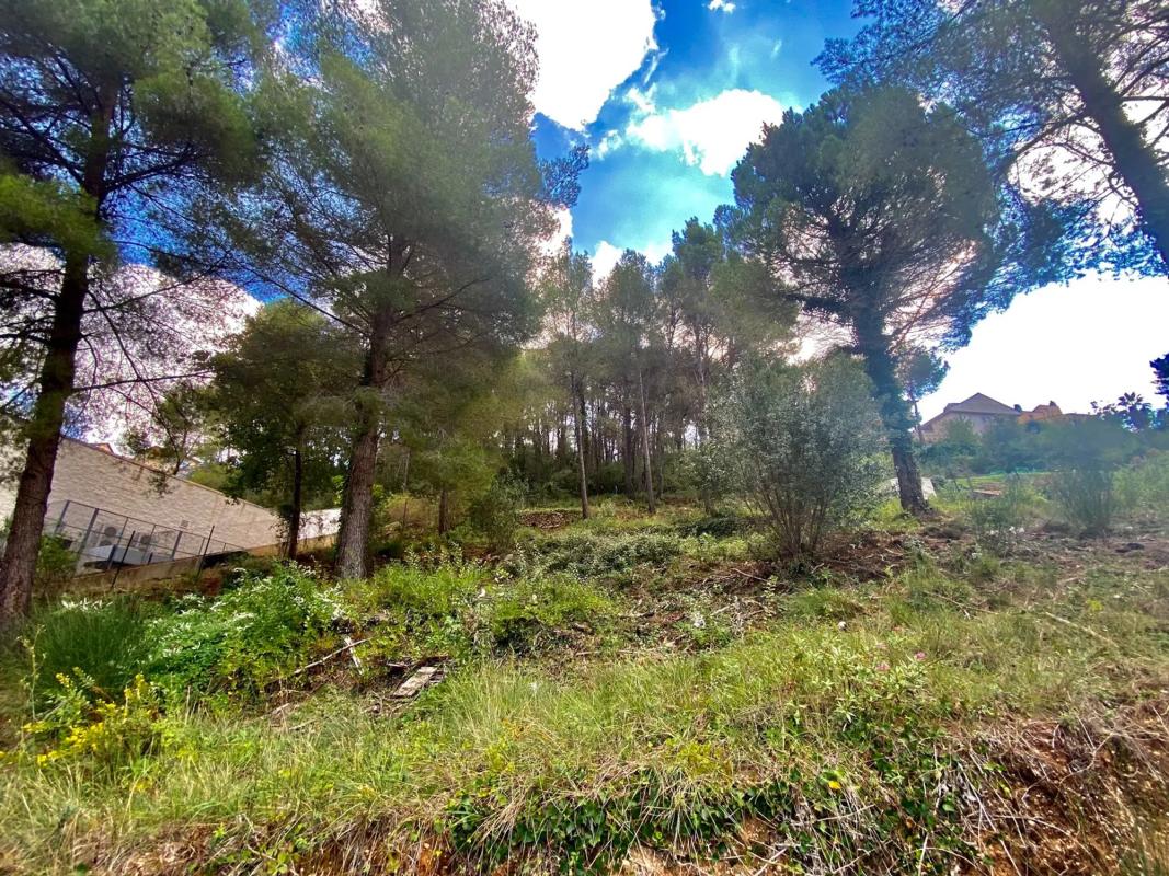Działka na sprzedaż w Corbera de Llobregat, Barcelona photo 1