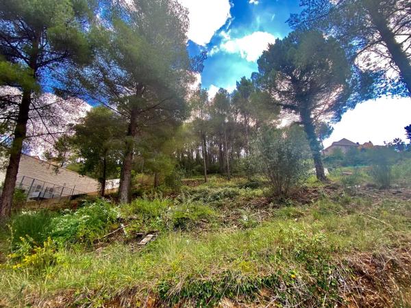 Terreno en sant andreu photo 1