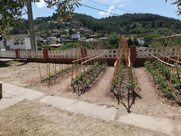 Terreno en calle de l'Avellaner, 9 photo 1