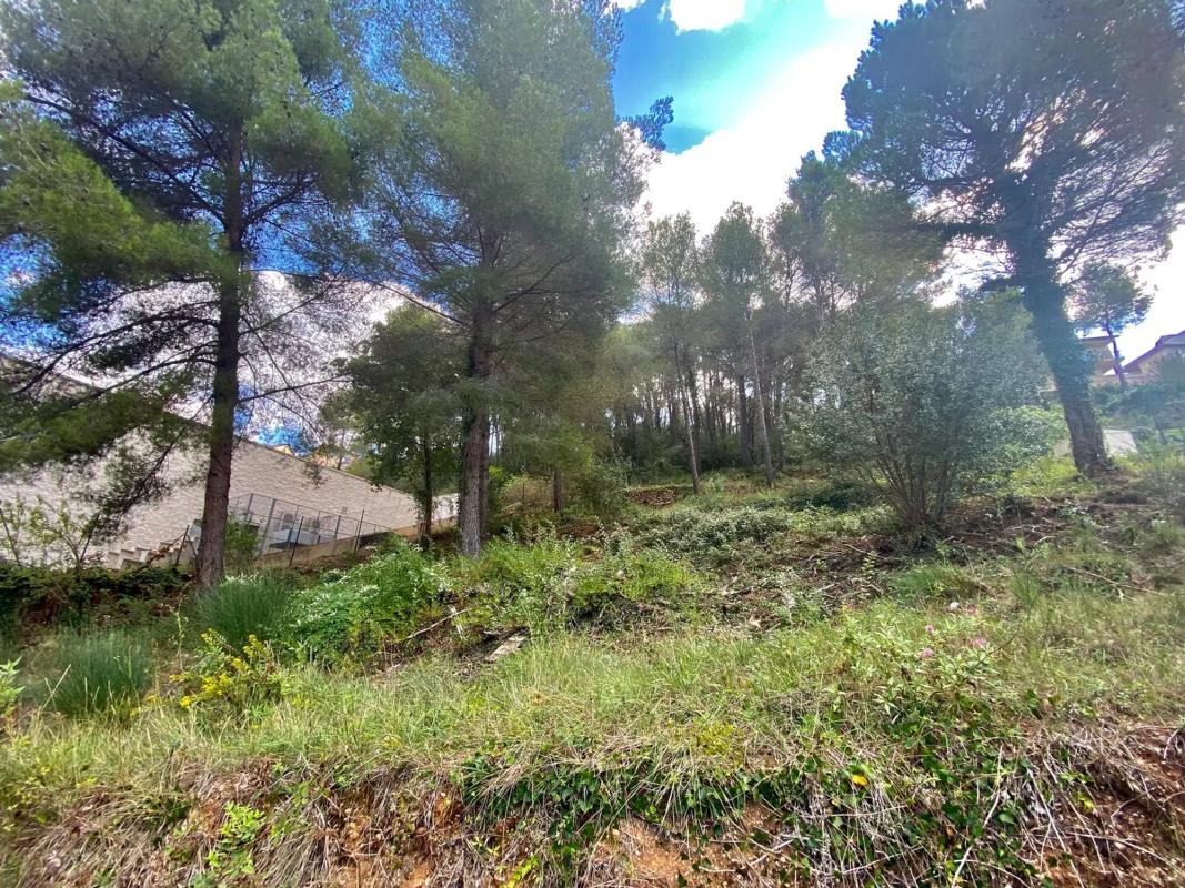 Działka na sprzedaż w Corbera de Llobregat, Barcelona photo 4