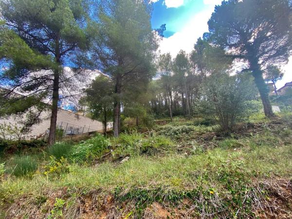 Terreno en sant andreu photo 4