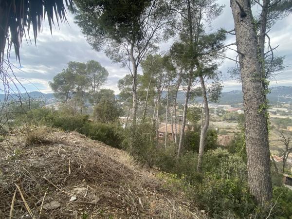 Terreno en Cervelló photo 4