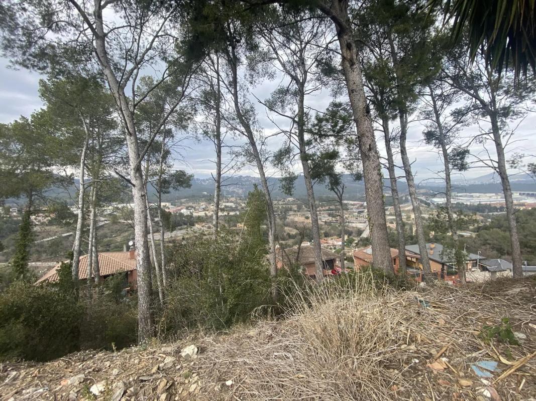 Terreno en venta en Cervelló, Barcelona photo 5