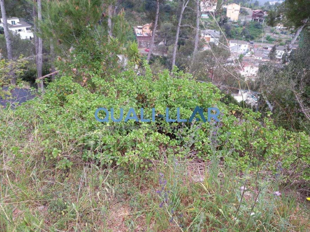 Terreno en venta en Cervelló, Barcelona photo 5