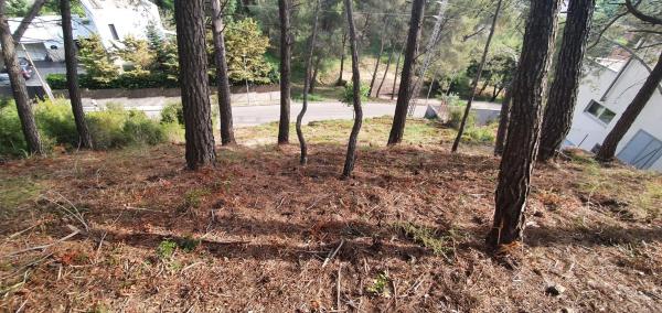 Terreno en Mare de Deu de Lourdes, 70 thumbnail 1