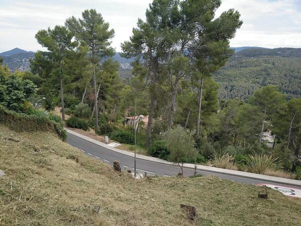 Terreno en calle Alegria, 16 thumbnail 1