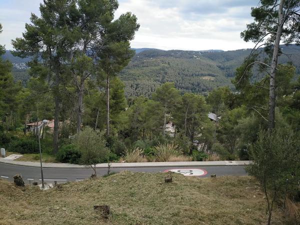 Terreno en calle Alegria, 16 photo 4