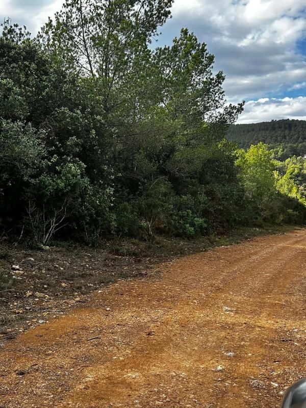 Terreno en venta en Cervelló, Barcelona photo 3
