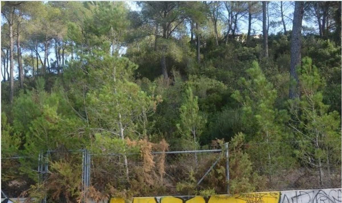 Terreno en venta en Corbera de Llobregat, Barcelona photo 2