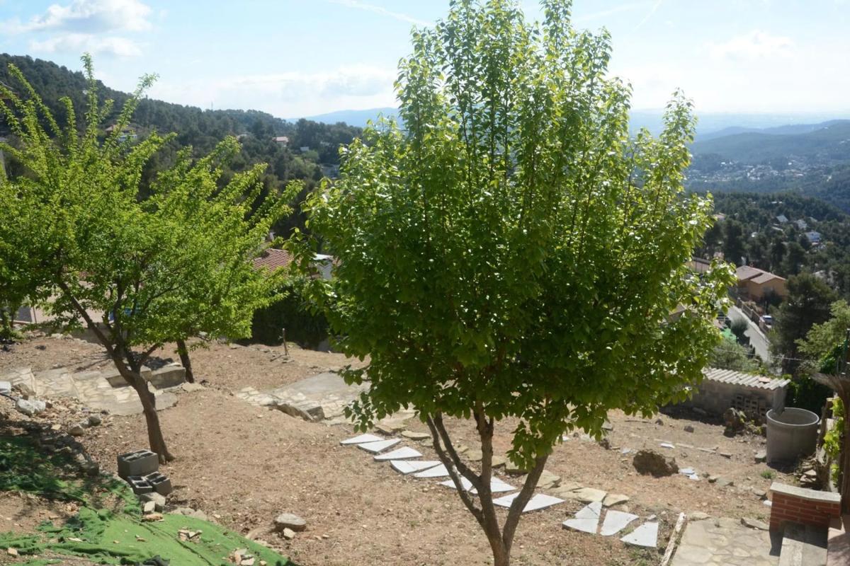 Land for sale in Corbera de Llobregat, Barcelona photo 2