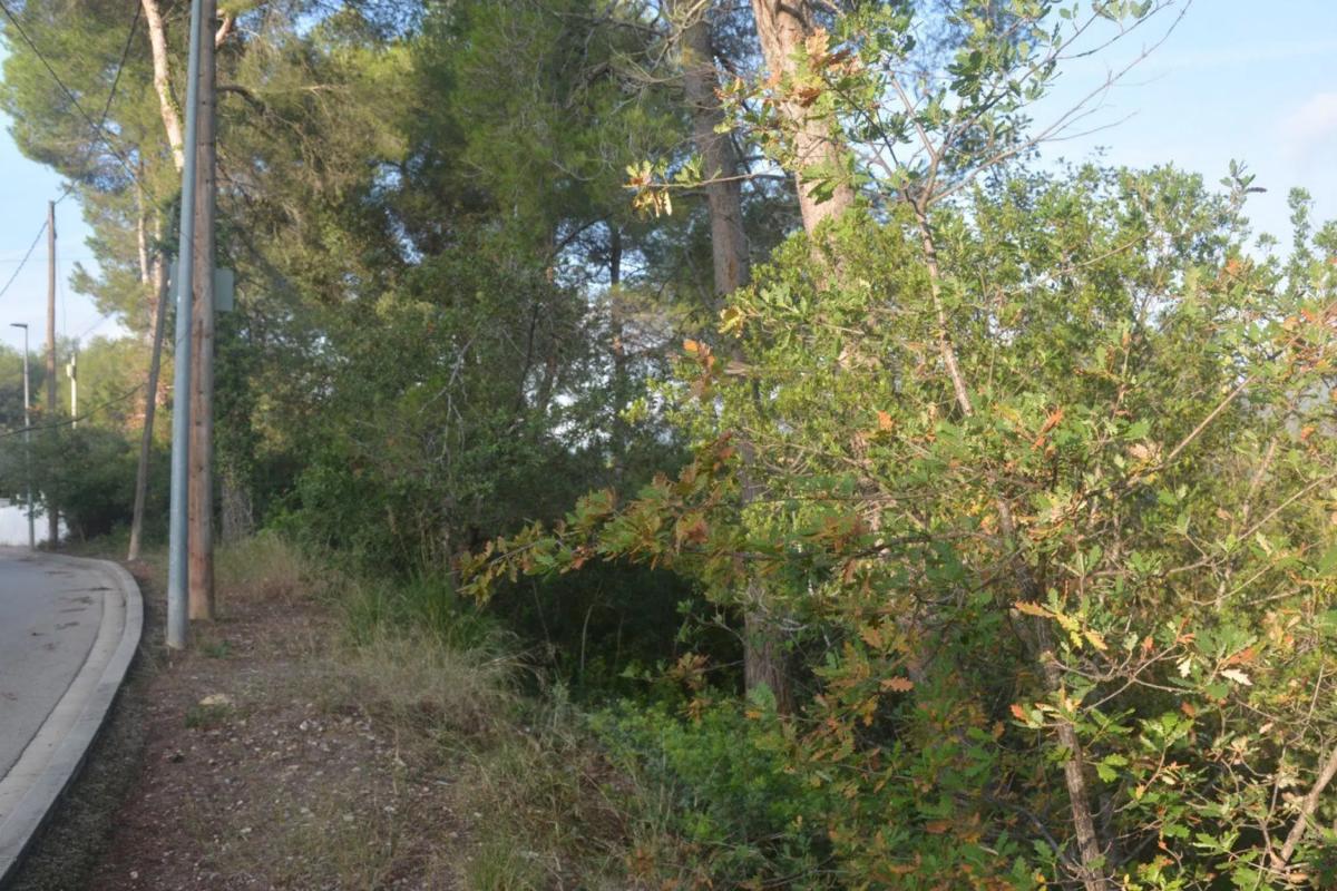 Terreno en venta en Corbera de Llobregat, Barcelona photo 3