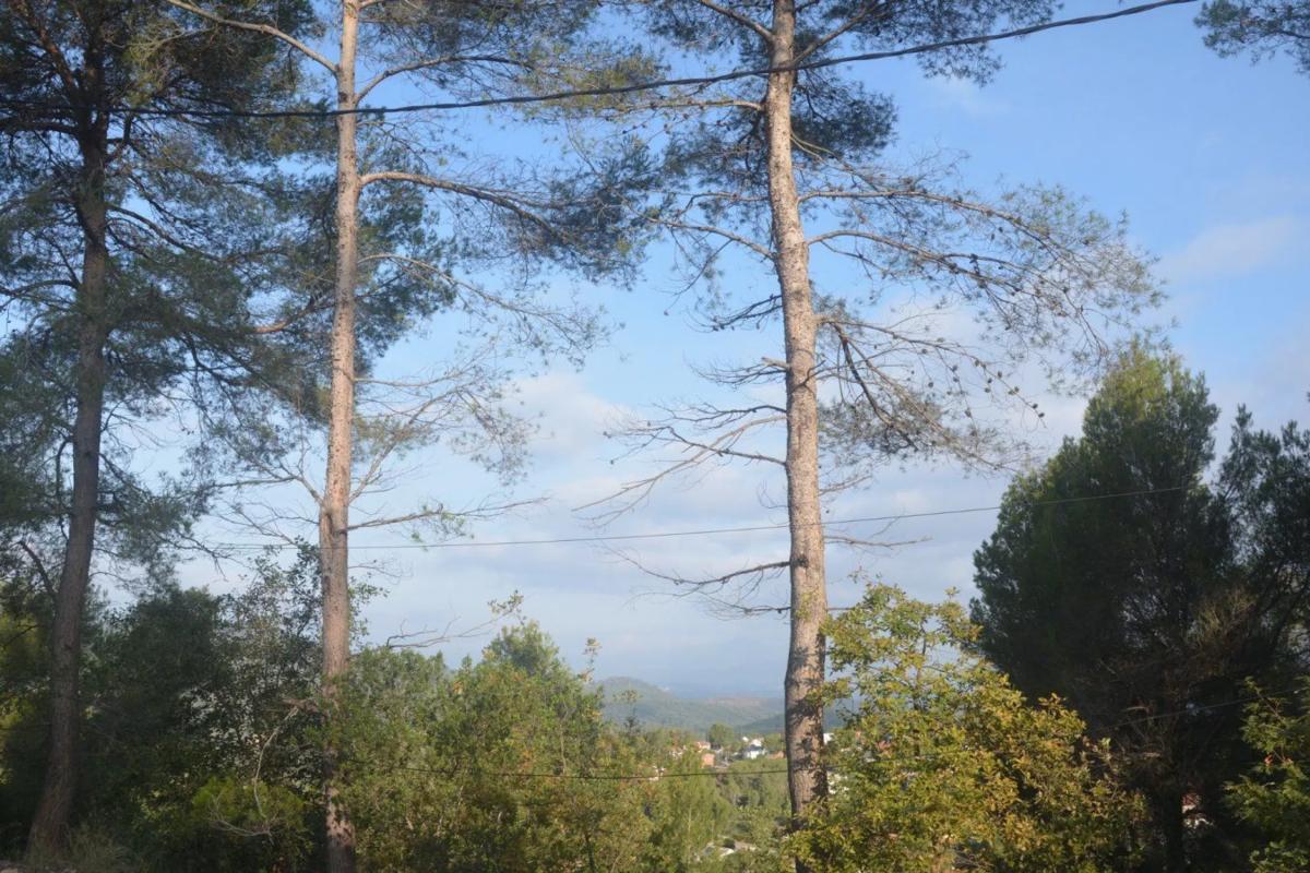 Terreno en venta en Corbera de Llobregat, Barcelona photo 4