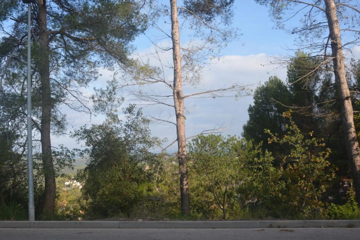 Terreno en venta en Corbera de Llobregat, Barcelona photo 5