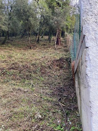 Terreno en calle Saturno, 42 photo 2