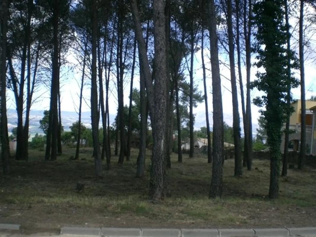 Land for sale in Corbera de Llobregat, Barcelona photo 2