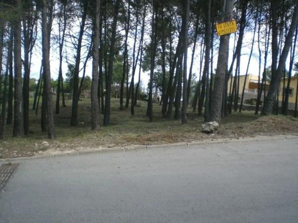 Terreno en Merlot, 22 photo 4