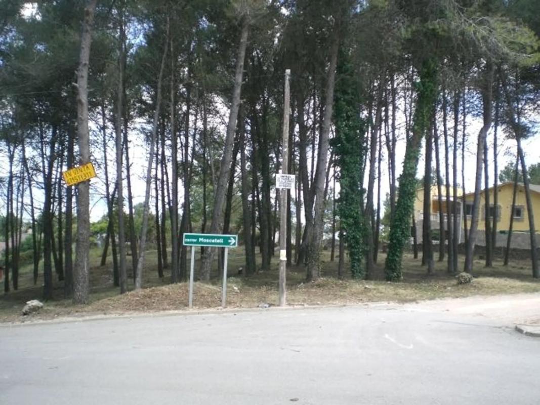 Land for sale in Corbera de Llobregat, Barcelona photo 5