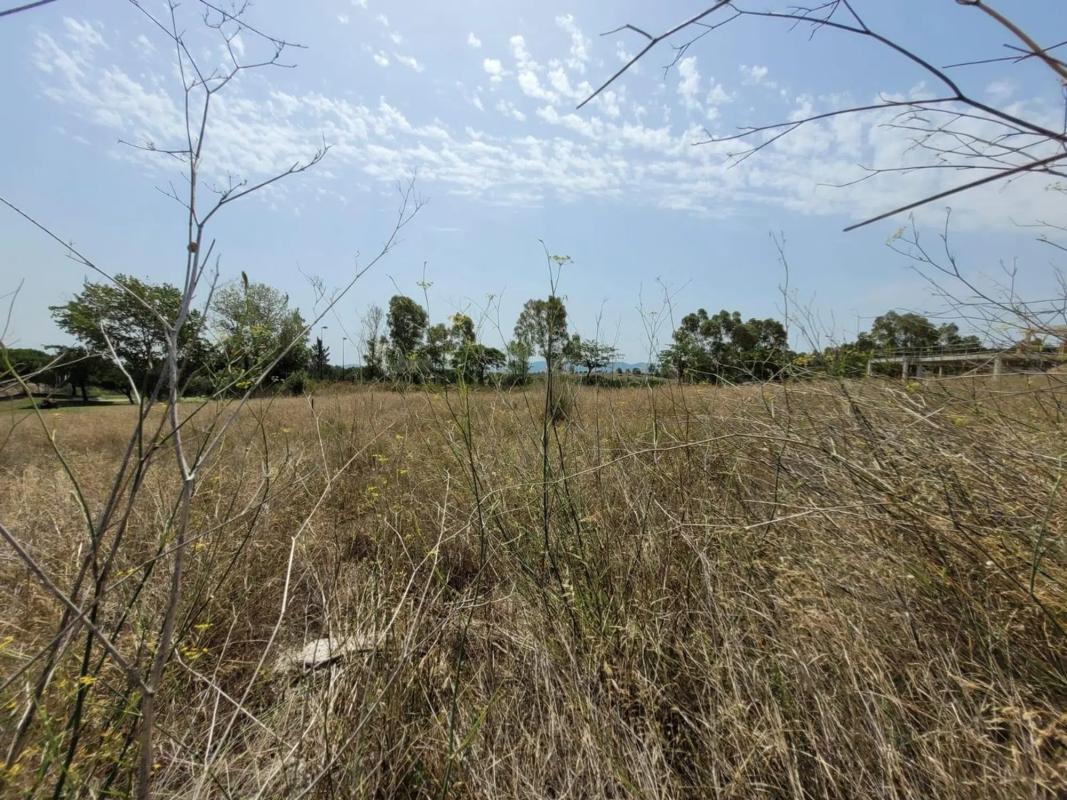 Terreno en venta en Sant esteve Sesrovires, Barcelona photo 1