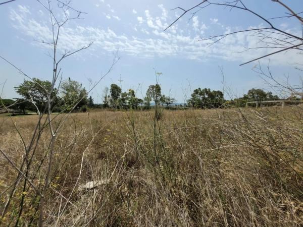 Terreno en Sant esteve Sesrovires photo 1