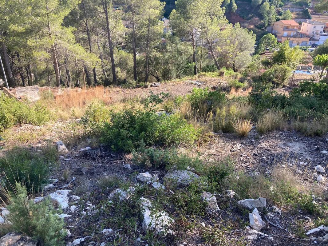 Land for sale in Vallirana, Barcelona photo 3