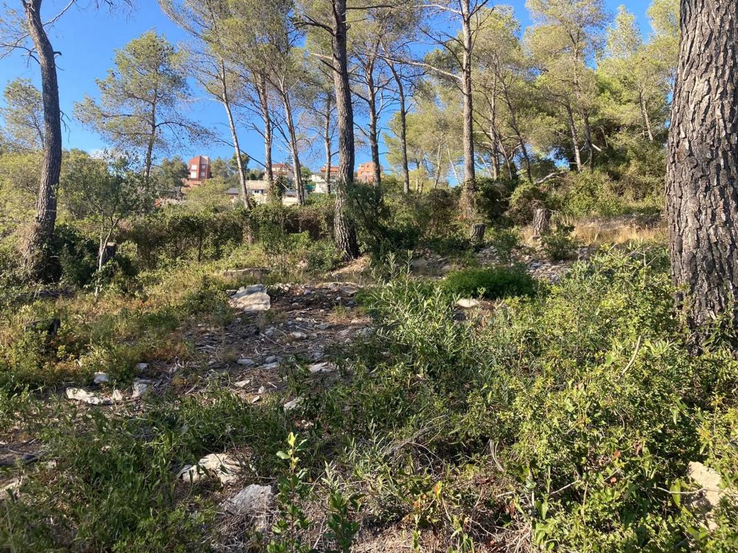Land for sale in Vallirana, Barcelona photo 5