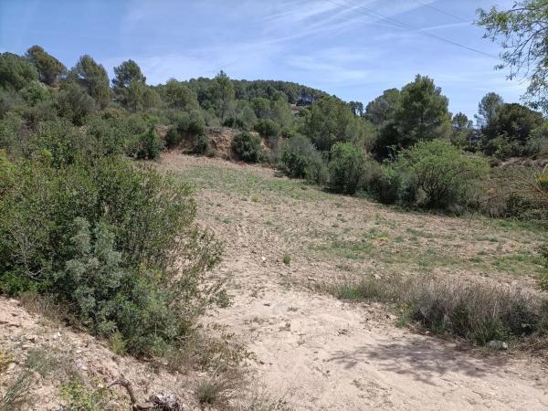 Terreno en carretera Olesa, 1 photo 4