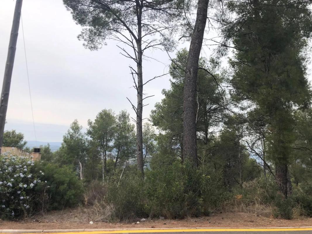 Terreno en venta en Castellví de Rosanes, Barcelona photo 5