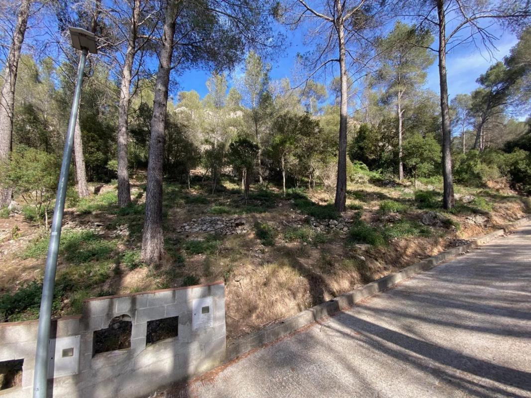 Działka na sprzedaż w Corbera de Llobregat, Barcelona photo 2