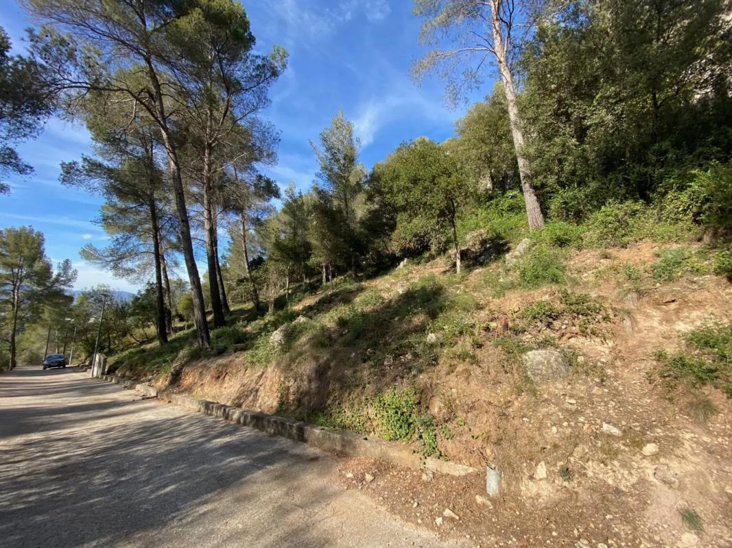 Działka na sprzedaż w Corbera de Llobregat, Barcelona photo 3
